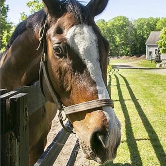 Meet your Posher, Maura - Picture 7 of 10